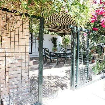 Monko - El Patio De La Bugambilla Apartment